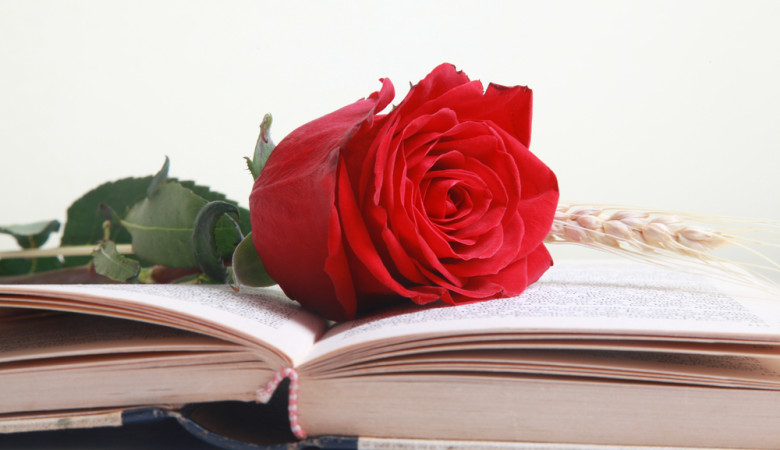 Sant Jordi 2026 | MisParkings